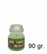 Candela Profumata NATURE CANDLE 90gr Fragranza Coconut Mint